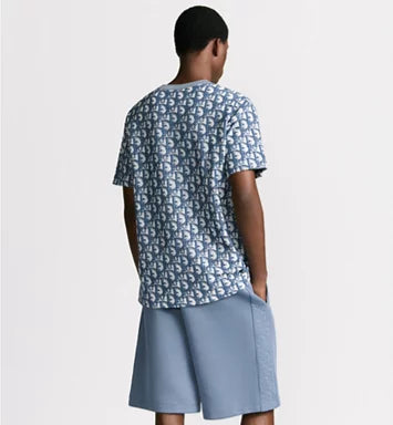 Dior Oblique T-Shirt Relaxed Fit Blue and White